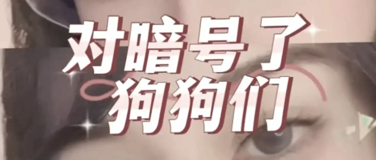 西檬之家ddlg是什么?揭开字母圈中的神秘面纱 一