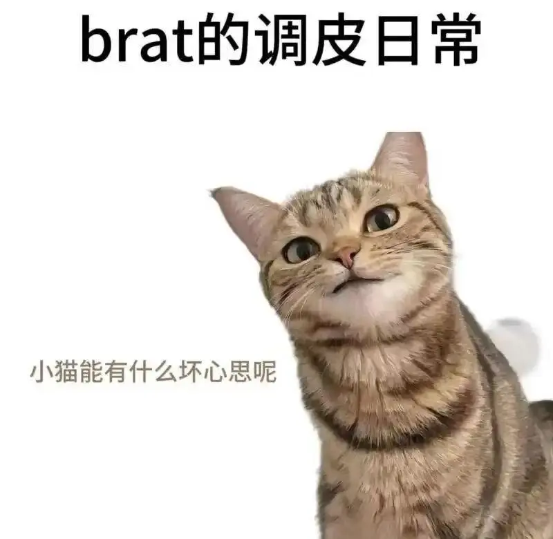 西檬之家Spank真的会让你更亲密吗?字母圈新人必看指南 一