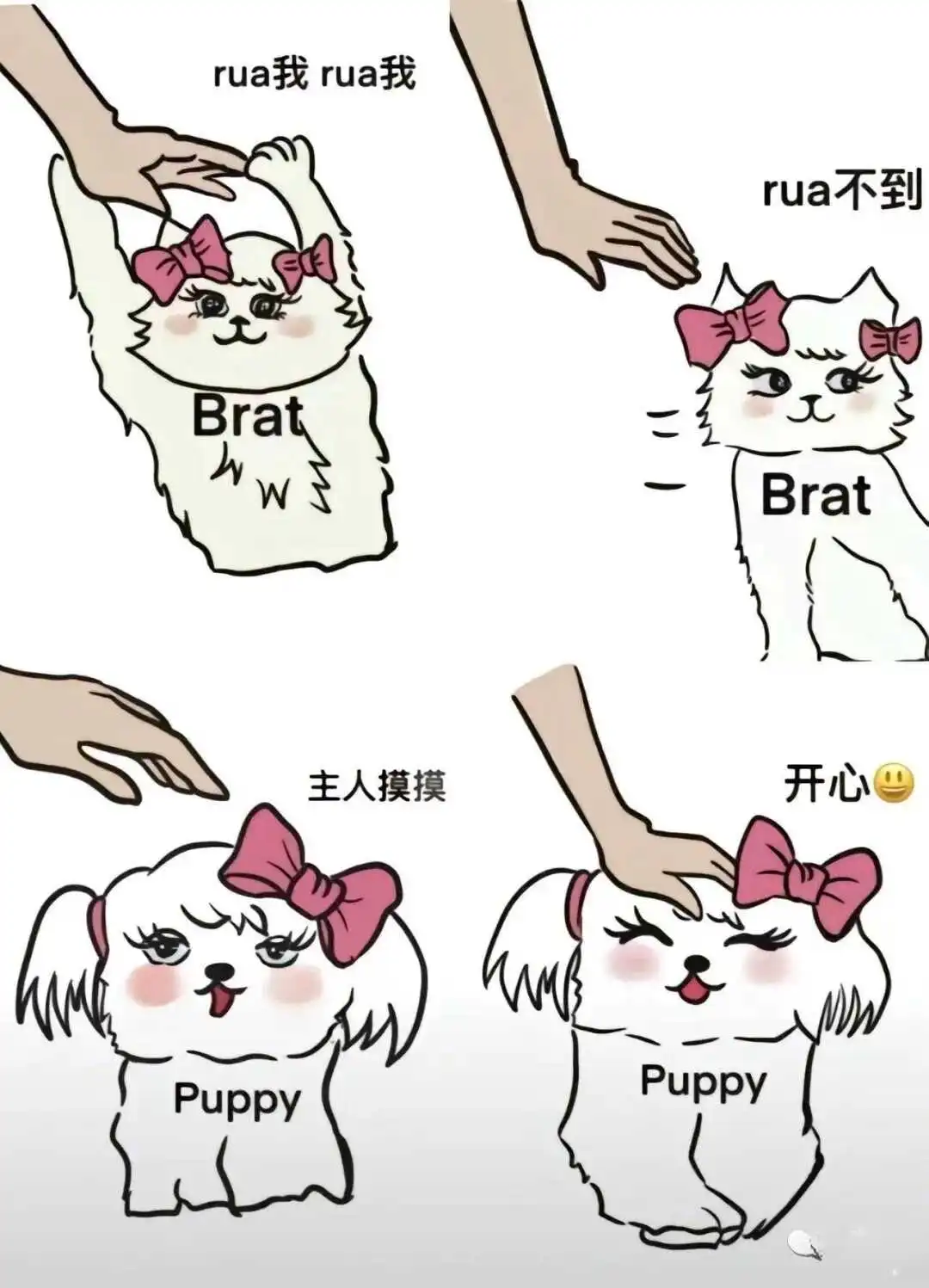 西檬之家字母圈入圈新手如何打破壁垒? 一