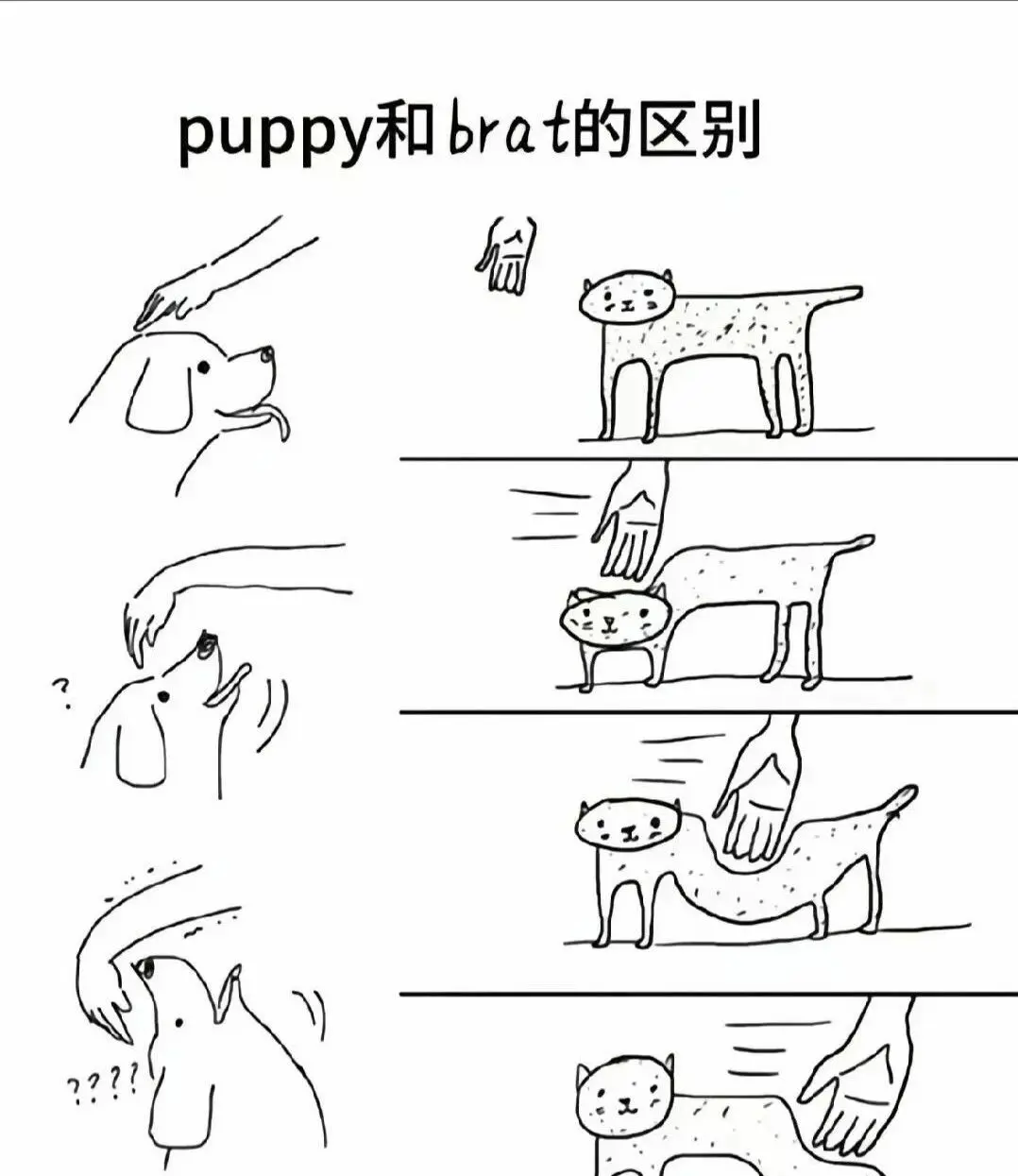西檬之家斯慕圈究竟是什么?快来了解这神秘的字母圈! 一