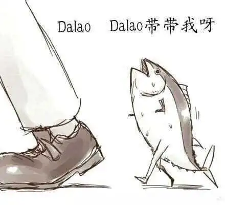 西檬之家字母圈入圈新手必读指南 一