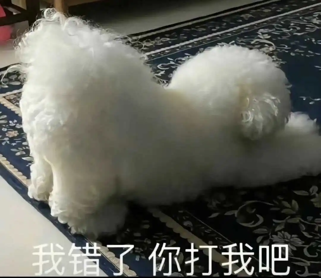 西檬之家sm亚文化新人入门指南 一