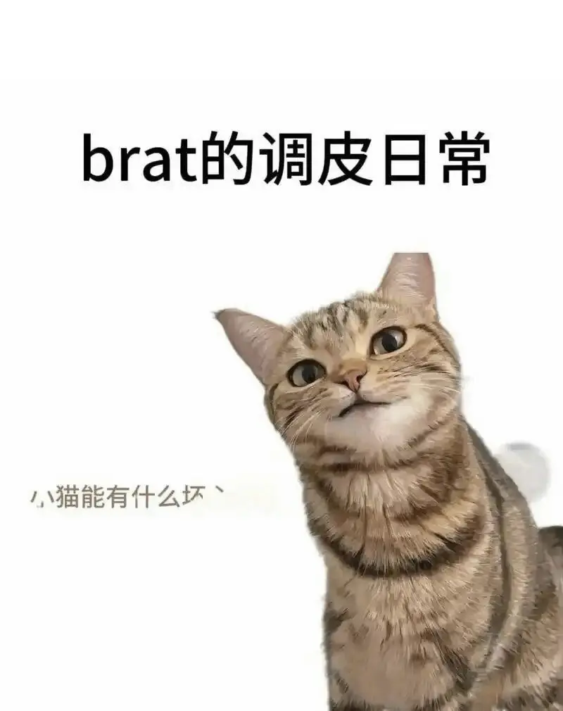 西檬之家斯慕圈是什么?新人如何安全入圈 一