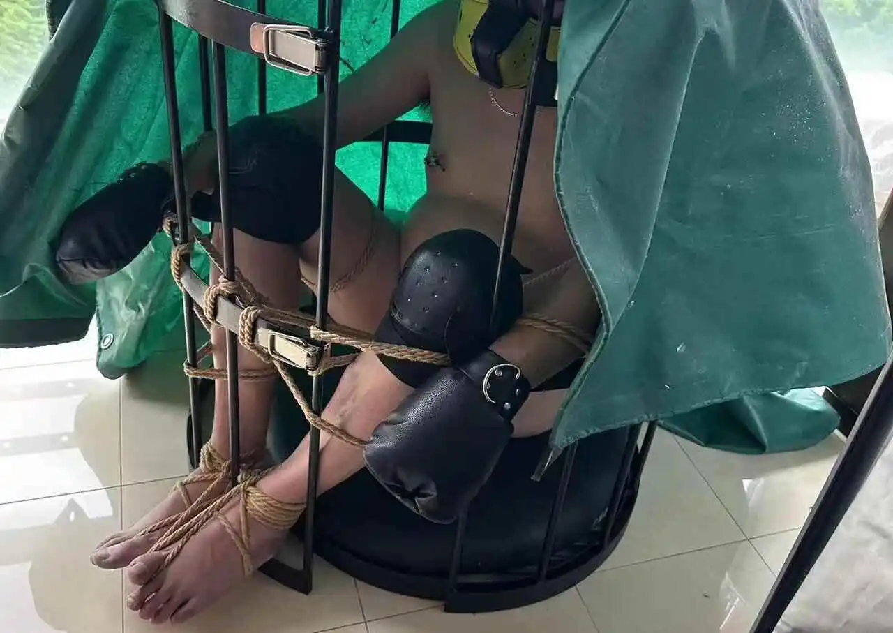 西檬之家Brat属性是什么意思 一