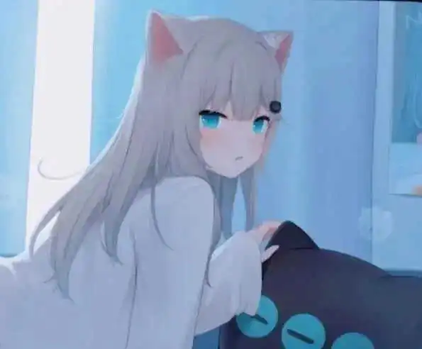 西檬之家什么是s属性? 一
